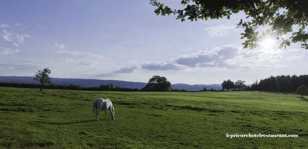 Domaine Le Prieure Chaumont-le-Bourg Exterior foto